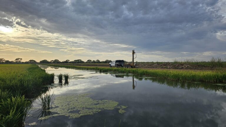 Murrumbidgee Irrigation